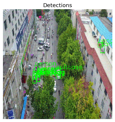 Detections