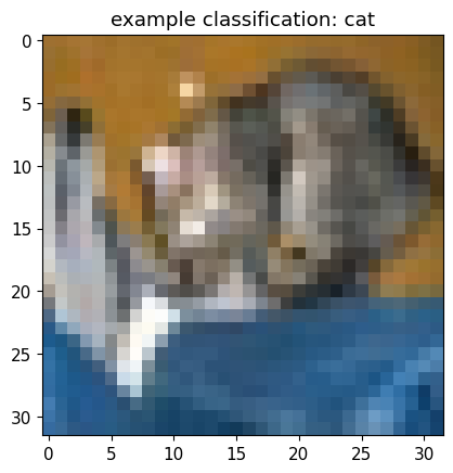 cat